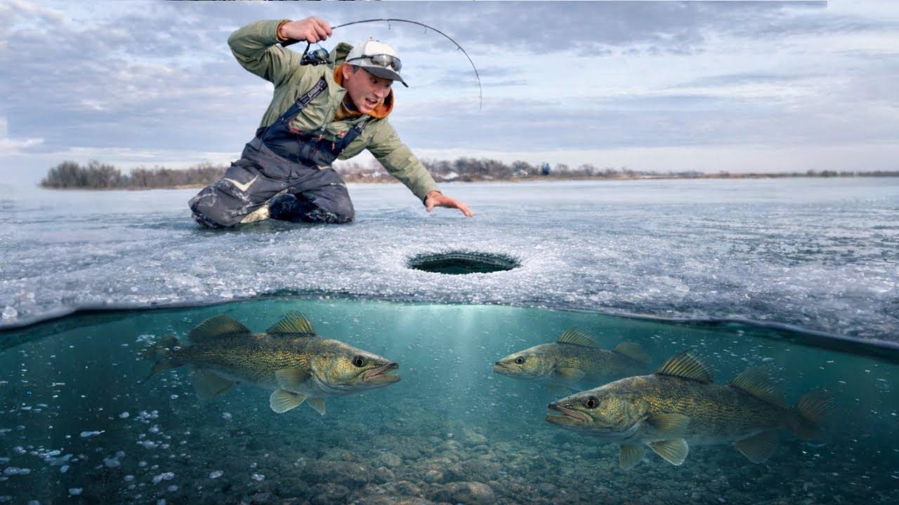 Fórum de Pesca de Inverno  CrestLinezeki 